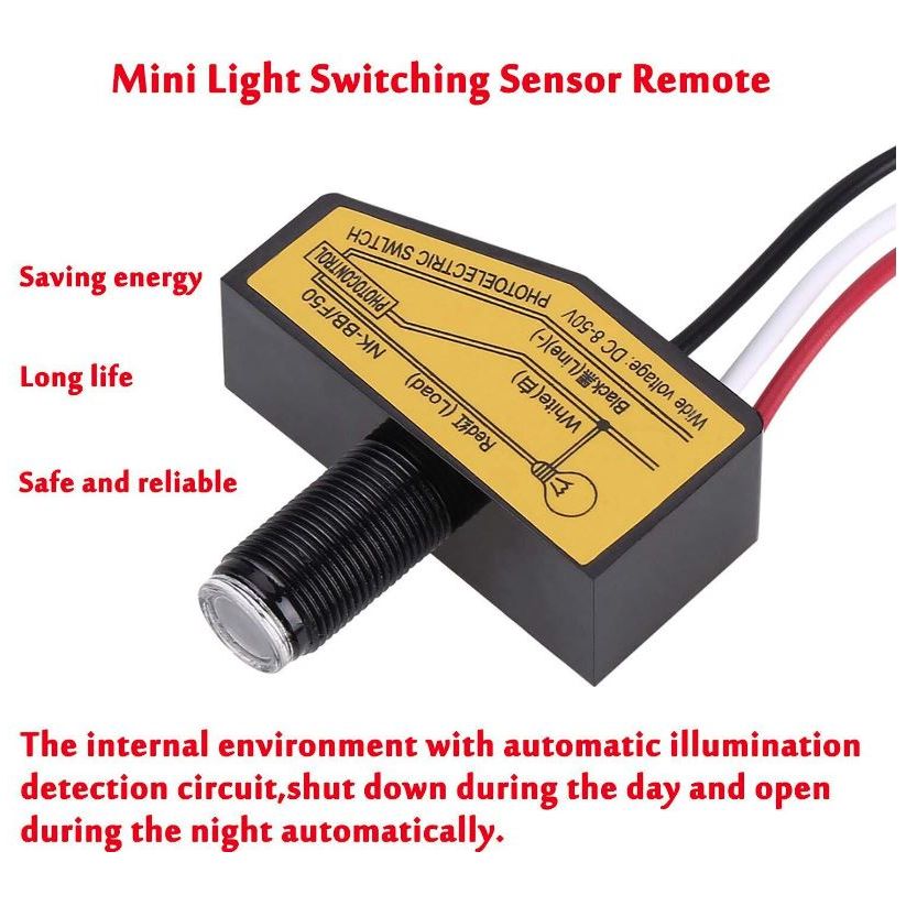 Courtesy Light With Day/Night Sensor